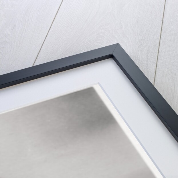 Zeppelin LZ11 'Viktoria Luise' in flight during the Kiel Regatta, Germany by Anonymous