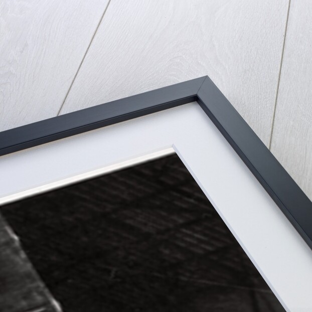 Tail gunner of a German army Zeppelin airship, World War I by Anonymous