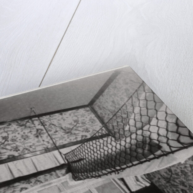 Passenger cabin at night, LZ 127 Graf Zeppelin by Anonymous