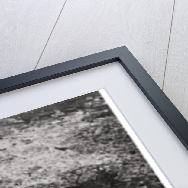 Aerial view of Seville, Spain, from a Zeppelin by Anonymous