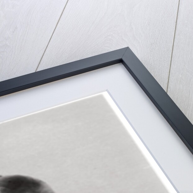 Zeppelin LZ 127 'Graf Zeppelin' landing at Friedrichshafen, Germany by Anonymous