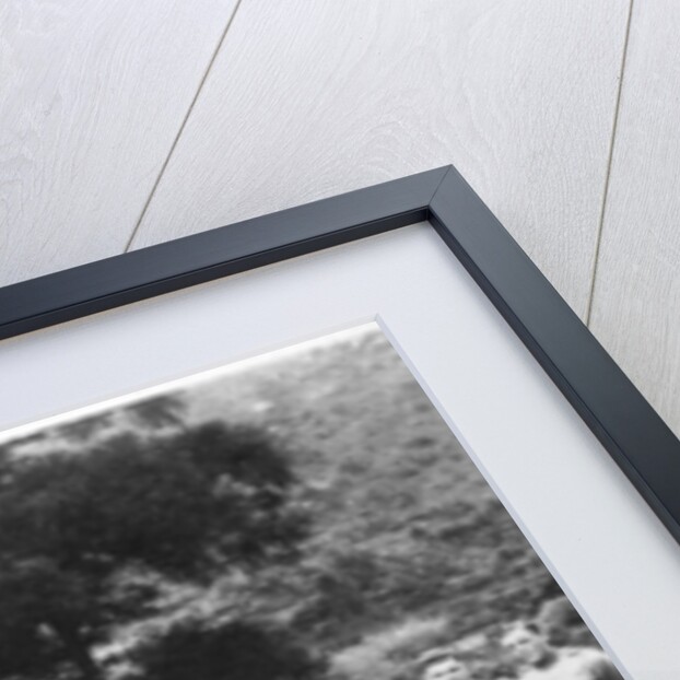 Group portrait of C Company, 2nd Battalion the King's Regiment, Iraq by Anonymous