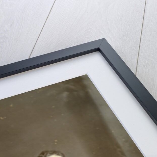 Studio portrait of a soldier of C Company, 2nd Battalion the King's Regiment, Iraq by Anonymous