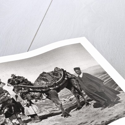 Pilgrims with their camels on their way to Karbala, Iraq by A Kerim