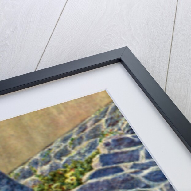 Girls of Strimi Island, Denmark by Danish Legation