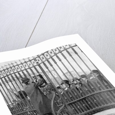 Crowds outside Buckingham Palace waiting for news of the illness of the King by Anonymous