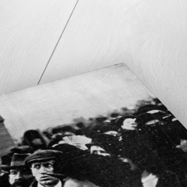 Official Notification of the Death of King Edward Posted Outside Buckingham Palace by Illustrations Bureau