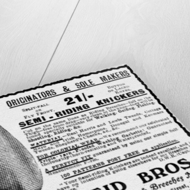 Advert for Reid Bros, Sporting Tailors & Breeches Makers by Anonymous