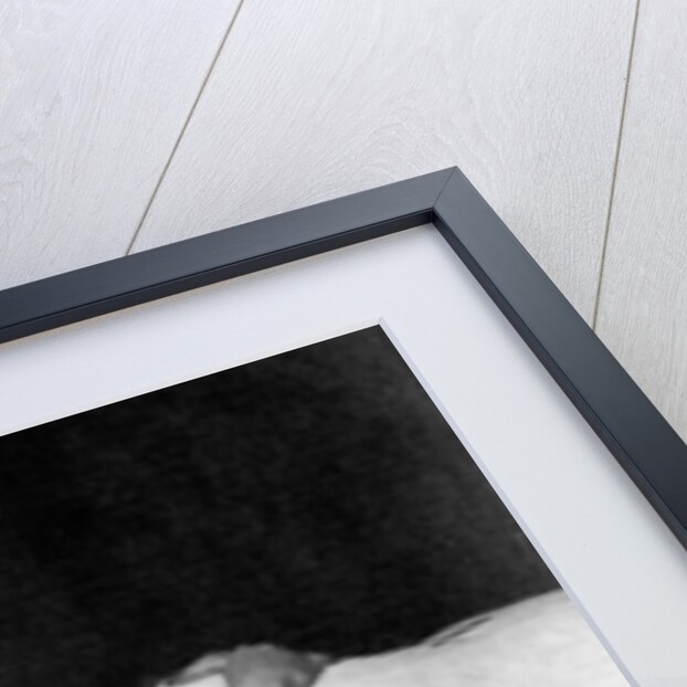 King Edward VII, in His Last Sleep by Downey