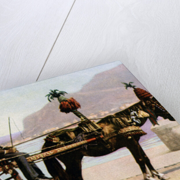 Cart, Palermo, Sicily by Anonymous