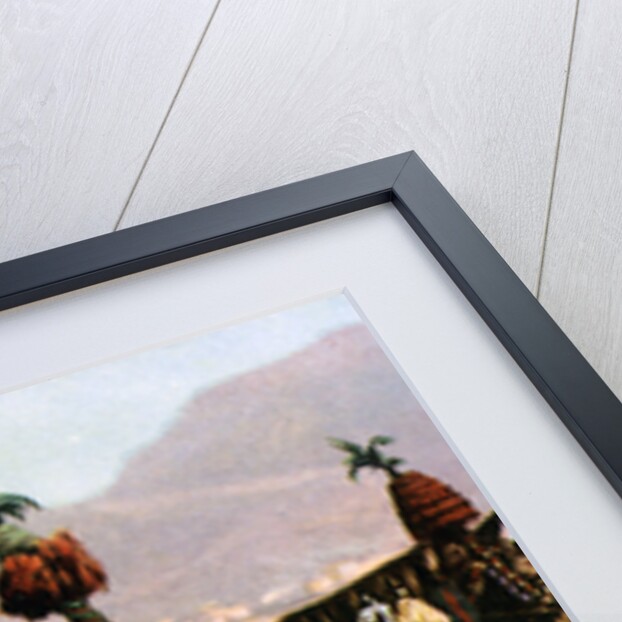 Cart, Palermo, Sicily by Anonymous