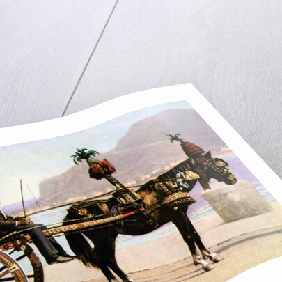 Cart, Palermo, Sicily by Anonymous