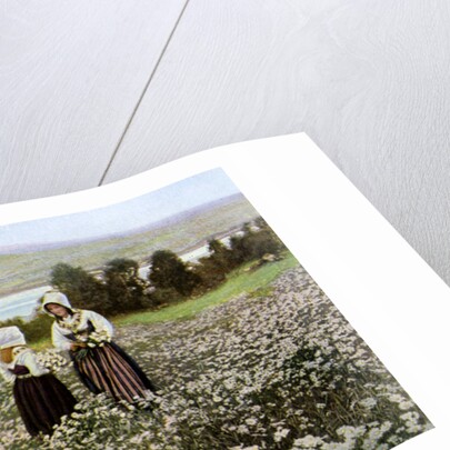 Picking flowers in a meadow near Leksand, Sweden by Anonymous