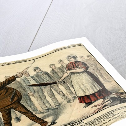 The Land-Grabber Parade by Anonymous