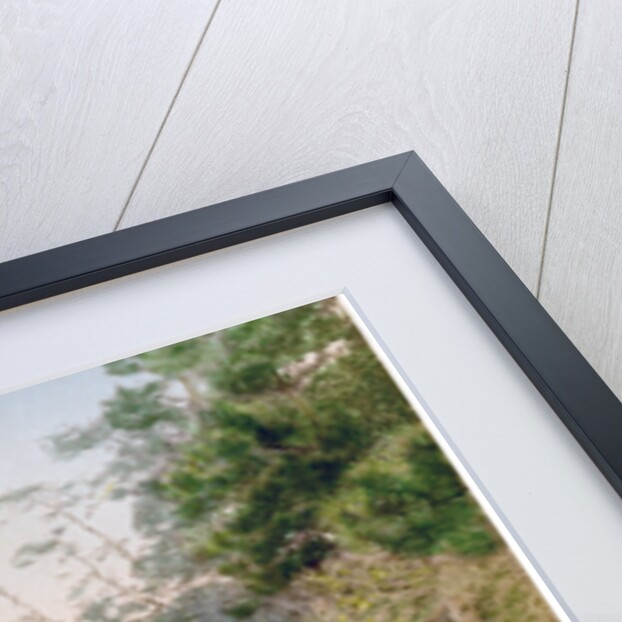 Daibutsu at Kamakura, Japan by Anonymous