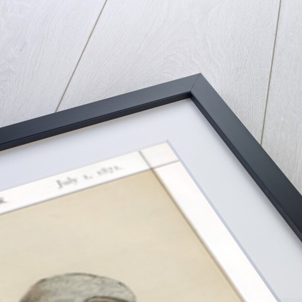 Sir John George Shaw-Lefevre, British barrister, politician and civil servant by Carlo Pellegrini