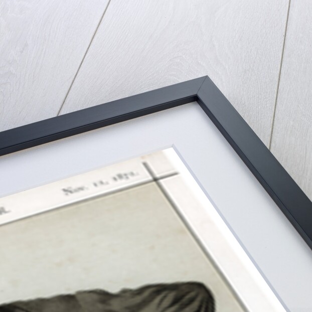 I say the critic must keep out of the region of immediate practice by Coide