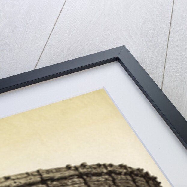 Roman amphitheatre, Nimes, France by Anonymous