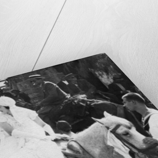 A Greek sailor's wedding, Pylos, Greece by Anonymous