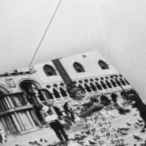 Woman surrounded by pigeons, St Mark's Square, Venice, Italy by Anonymous