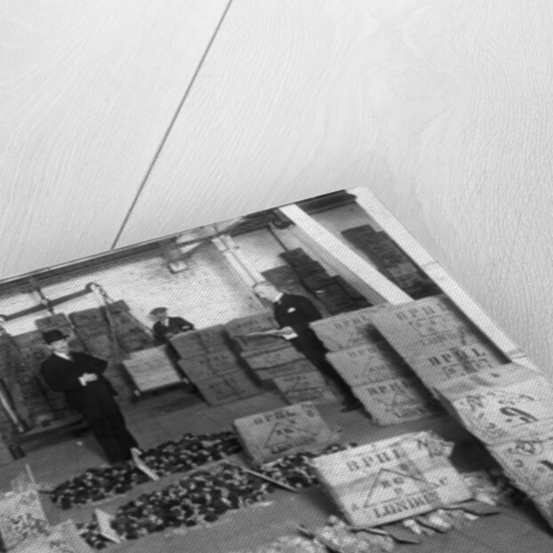 Coconut production by Anonymous