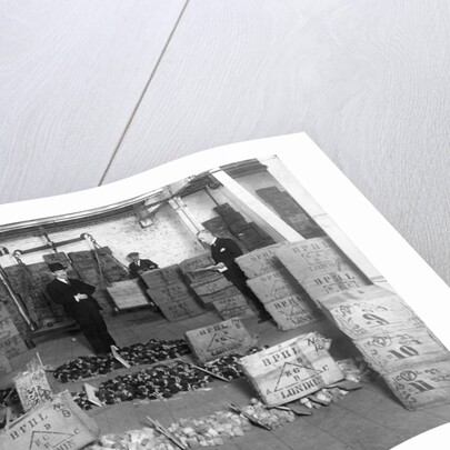 Coconut production by Anonymous