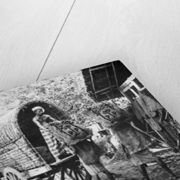 Coconut production, India by Anonymous