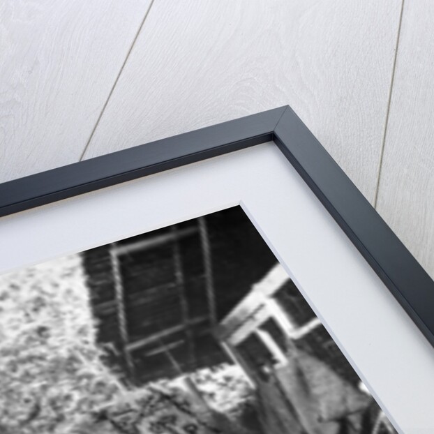 Coconut production, India by Anonymous