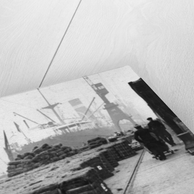 Coconut production by Anonymous