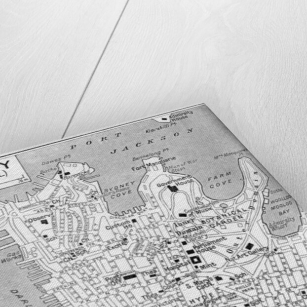 Map of central Sydney, New South Wales, Australia by Anonymous