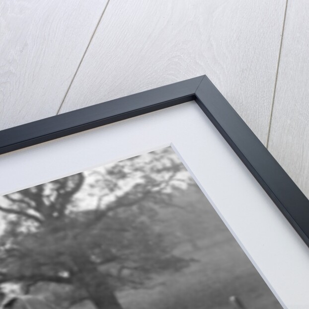 Kings Edward VII of the United Kingdom and Manuel II of Portugal hunting by Anonymous