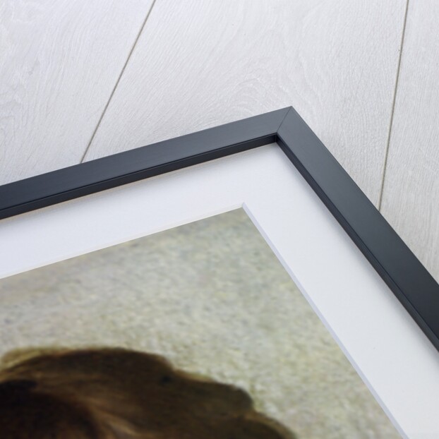 Head of a Boy by Louis Leopold Boilly