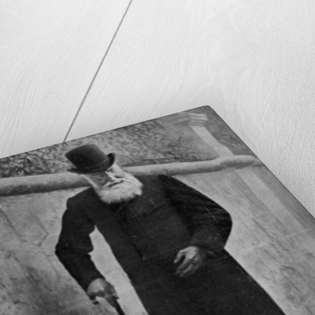 Leopold II, King of the Belgians by Anonymous