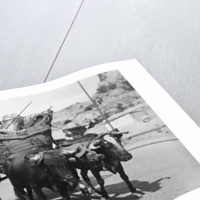 A Spanish scene by Anonymous