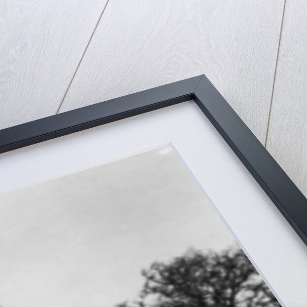 The Dome of the Rock, Jerusalem by Anonymous