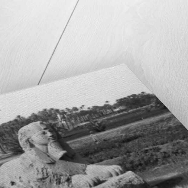 Alabaster Sphinx at Memphis, Egypt by Anonymous