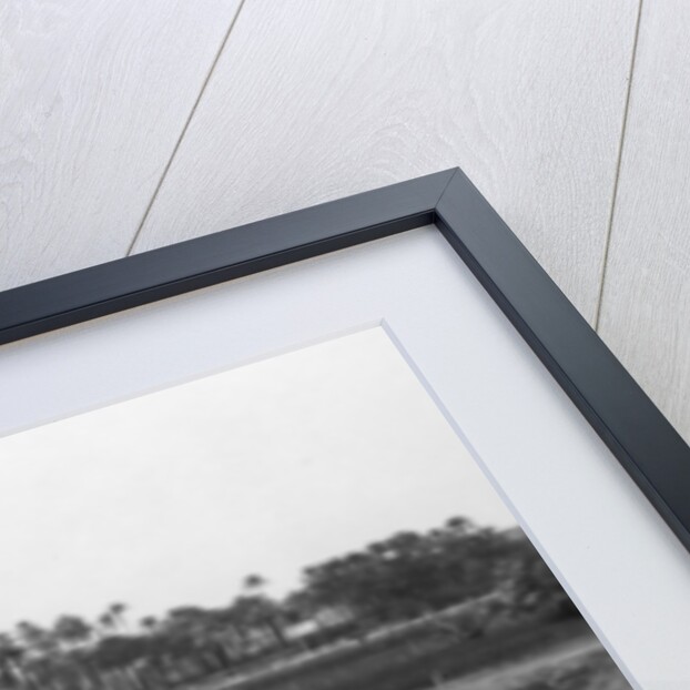 Alabaster Sphinx at Memphis, Egypt by Anonymous