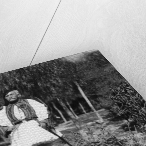 A Greek soldier in traditional uniform by Anonymous