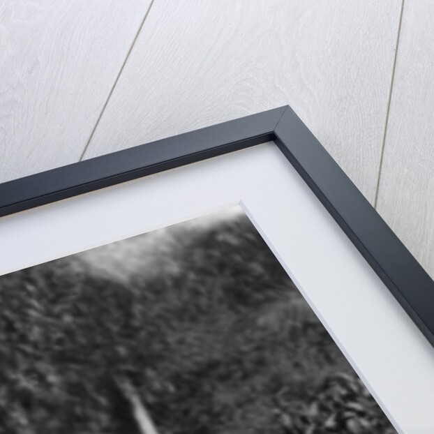 A Greek soldier in traditional uniform by Anonymous