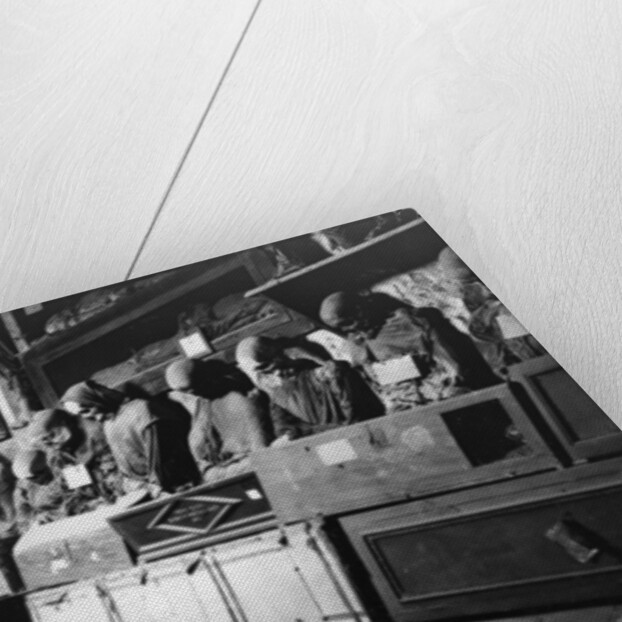 Catacombs of the Capuchins, Palermo, Italy by Anonymous