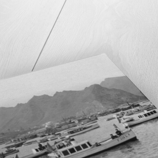 Tenerife, Canary Islands, Spain by Anonymous