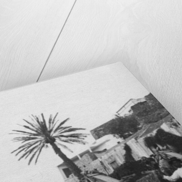 Men with camels, Las Palmas, Gran Canaria, Canary Islands, Spain by Anonymous