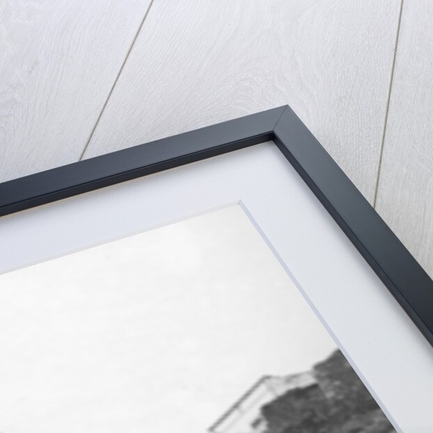 Men with camels, Las Palmas, Gran Canaria, Canary Islands, Spain by Anonymous