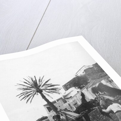 Men with camels, Las Palmas, Gran Canaria, Canary Islands, Spain by Anonymous