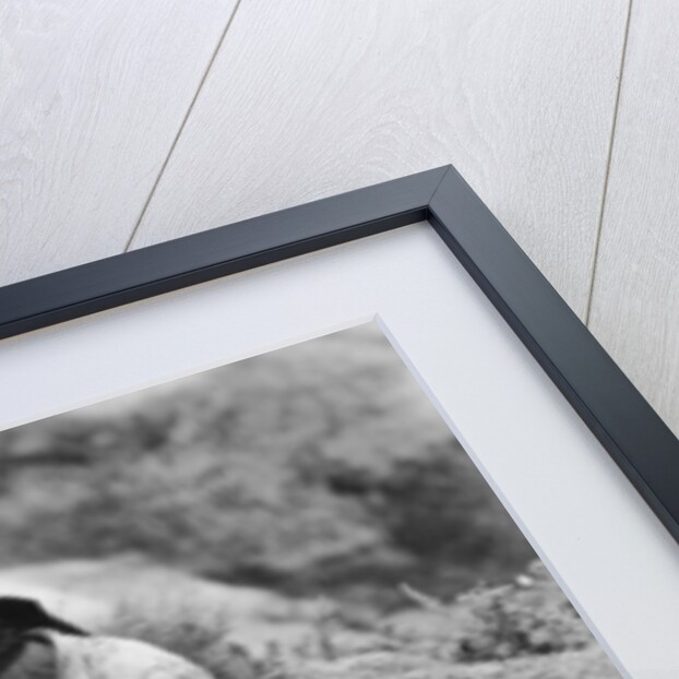 Making pottery, Atalaya, Las Palmas, Gran Canaria, Canary Islands, Spain by Anonymous