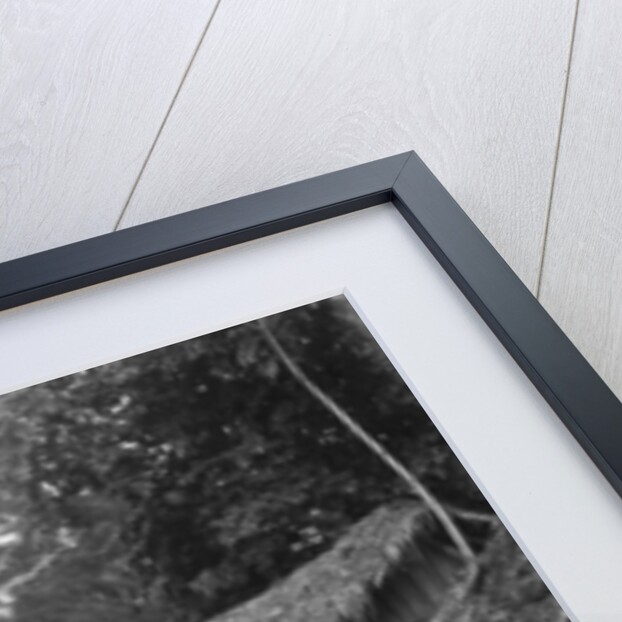 Family outside their home, Coolie Street, Kingston, Jamaica by Anonymous