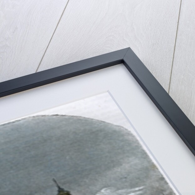 The Old Harbour of Barcelona by Anonymous