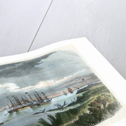 Steam-packet and tug-boat on the Mississippi by Anonymous