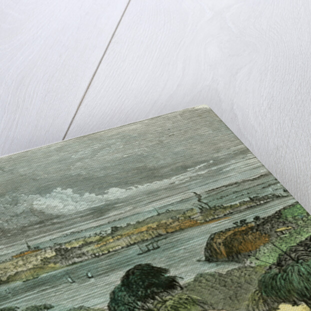 Sydney, New South Wales, Australia by Anonymous