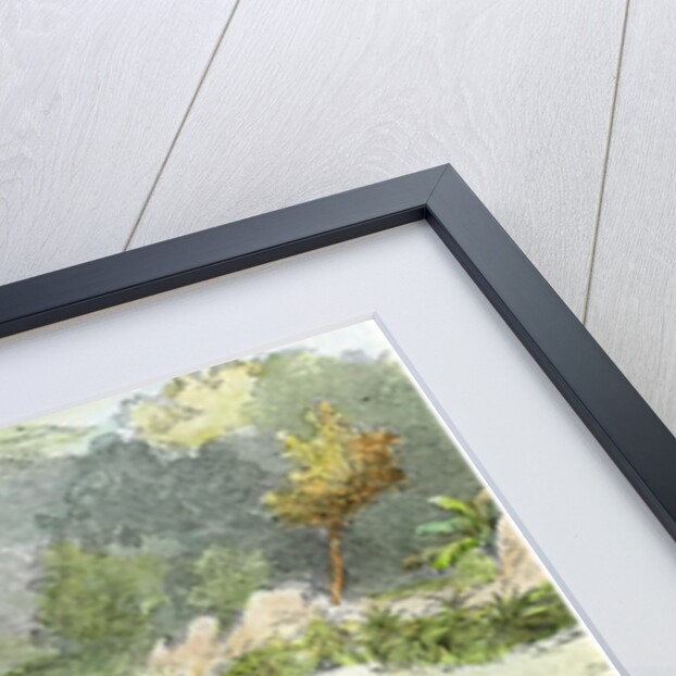 Chinese harvest, Hong Kong by Anonymous